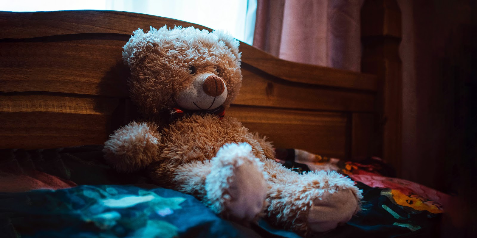 Pluszowy miś | Źródło: Pexels